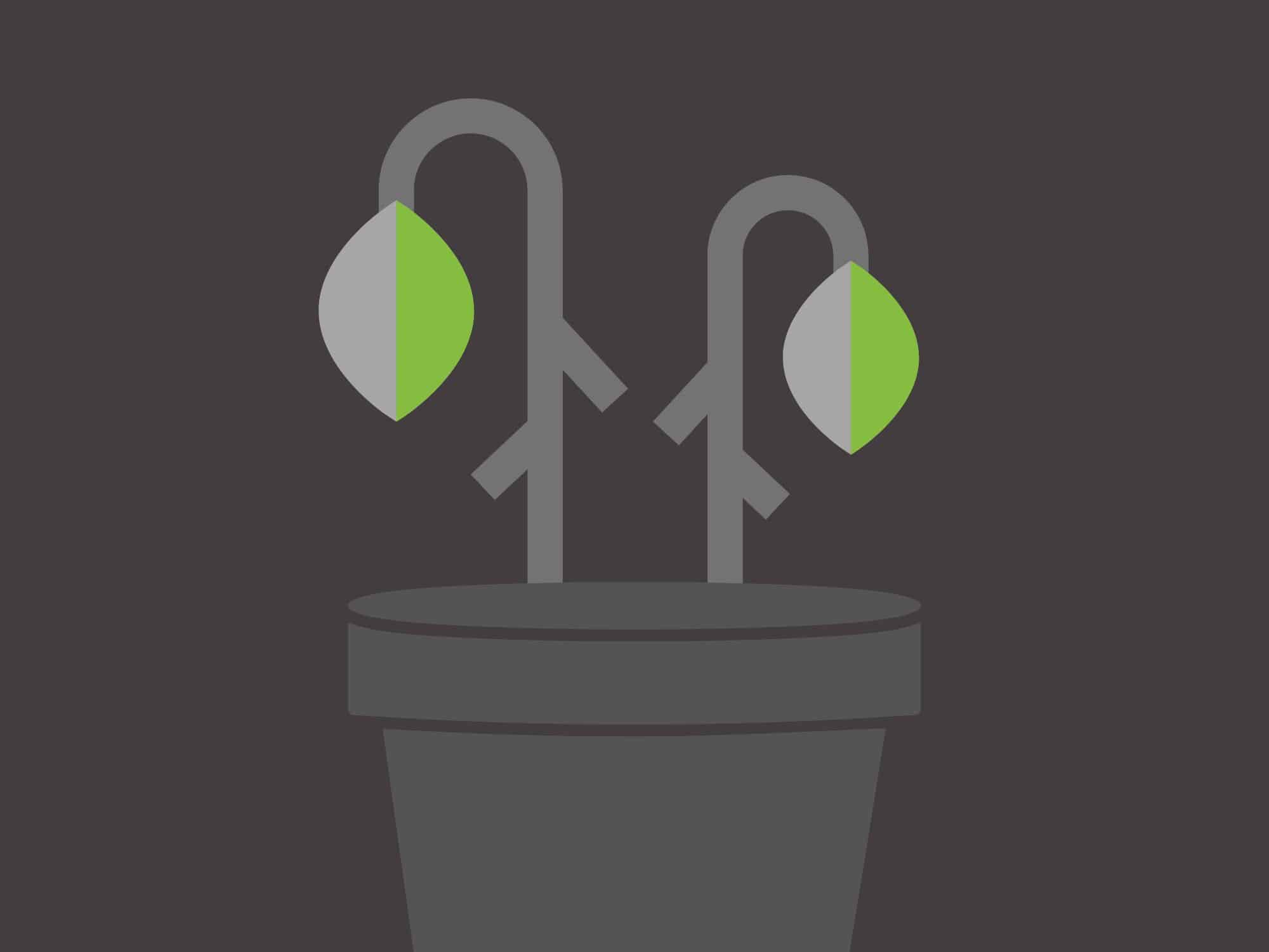 Content Decay Header