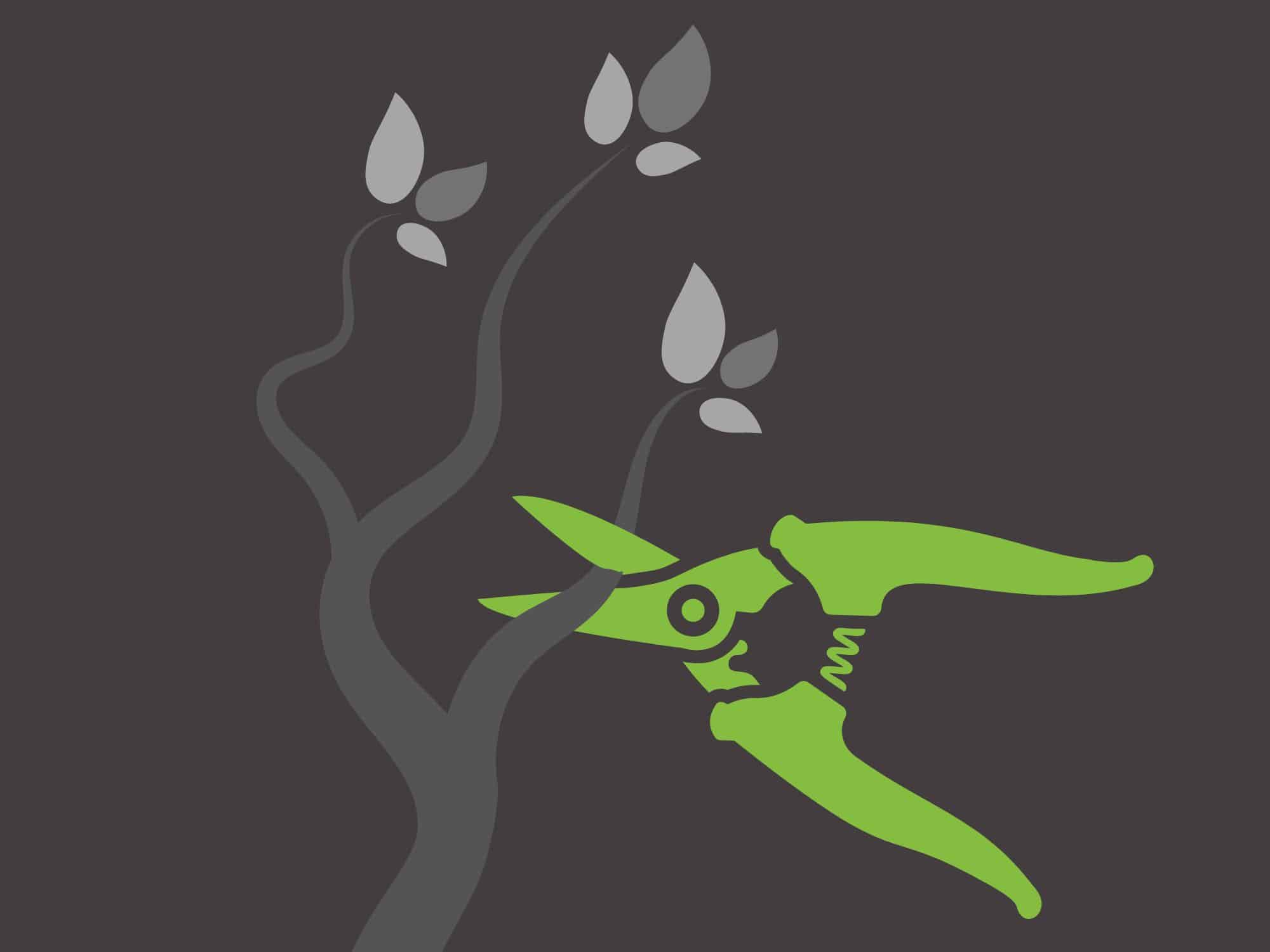 Content Pruning Header Image