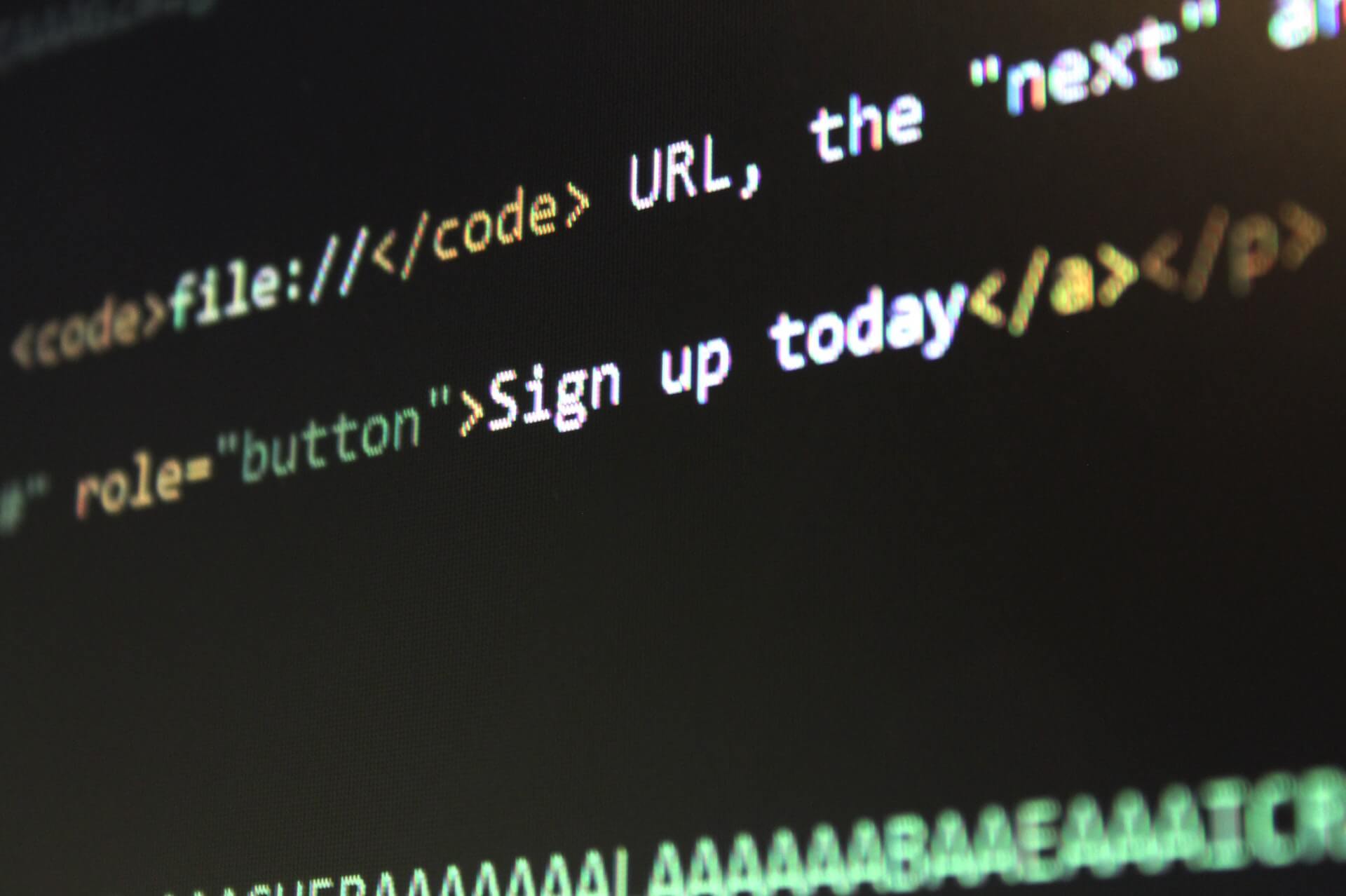 Web Development Services