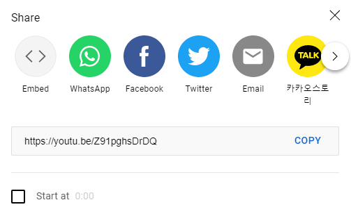 The ‘share’ options on a YouTube video, with ‘embed’ as the first choice
